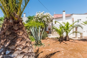 Giardino mediterraneo Villetta con piscina condivisa Posto Rosso - Foto 15