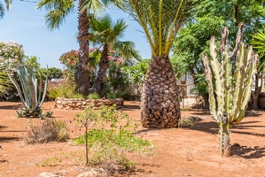 Giardino mediterraneo Villetta con piscina condivisa Posto Rosso - Foto 9