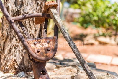 Giardino mediterraneo Villetta con piscina condivisa Posto Rosso - Foto 18