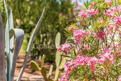 Villetta nel Salento 4 posti/giardino e piscina comune Posto Rosso - Foto 14