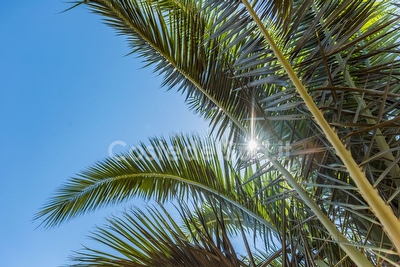 Villetta nel Salento 4 posti/giardino e piscina comune Posto Rosso - Foto 17