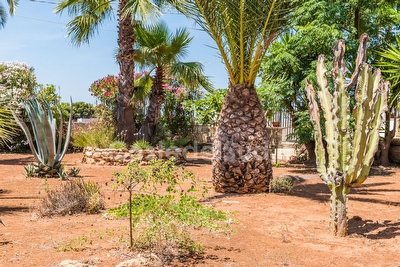 Villetta nel Salento 4 posti/giardino e piscina comune Posto Rosso - Foto 9