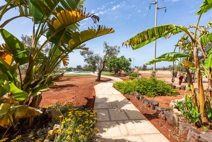 Trullo/Pajara nella campagna Salentina con piscina esclusiva Lido Marini - Foto 5