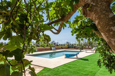 Trullo/Pajara nella campagna Salentina con piscina esclusiva Lido Marini - Foto 12