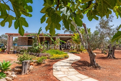 Trullo/Pajara nella campagna Salentina con piscina esclusiva Lido Marini - Foto 15