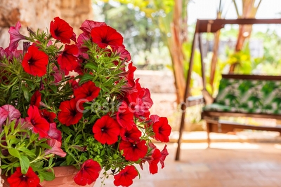 Trullo/Pajara nella campagna Salentina con piscina esclusiva Lido Marini - Foto 20