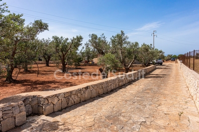 Trullo/Pajara nella campagna Salentina con piscina esclusiva Lido Marini - Foto 4