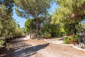 Villa esclusiva con piscina e pineta privata Torre San Giovanni - Foto 15