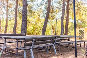 Villa esclusiva con piscina e pineta privata Torre San Giovanni - Foto 19