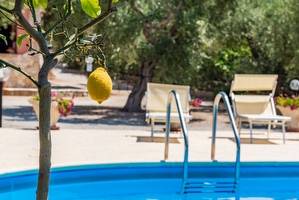 Villa esclusiva con piscina e pineta privata Torre San Giovanni - Foto 6