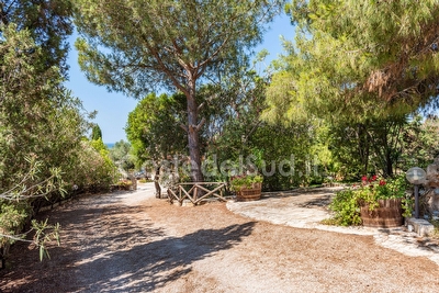 Villa esclusiva con piscina e pineta privata Torre San Giovanni - Foto 15
