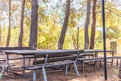 Villa esclusiva con piscina e pineta privata Torre San Giovanni - Foto 19