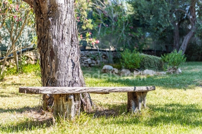 Villa esclusiva con piscina e pineta privata Torre San Giovanni - Foto 28