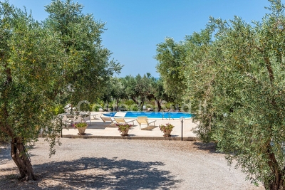 Villa esclusiva con piscina e pineta privata Torre San Giovanni - Foto 8