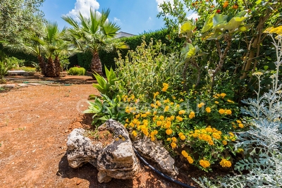 Villetta  2 camere con giardino  Capilungo - Foto 19