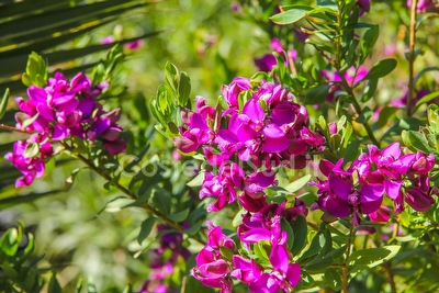 A pochi metri dal mare splendido bilocale per una coppia,  Capilungo - Foto 6