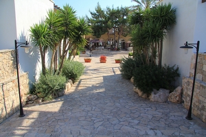 Casa vacanza privata  in residence con piscina con acqua salata Santa Maria di Leuca - Foto 11