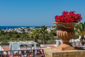 Casa vacanza privata  in residence con piscina con acqua salata Santa Maria di Leuca - Foto 5