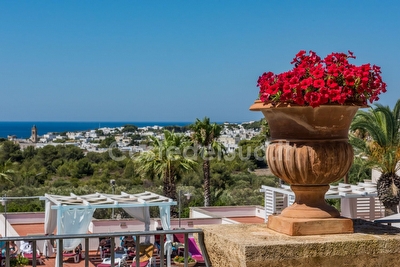 Casa vacanza privata  in residence con piscina con acqua salata Santa Maria di Leuca - Foto 5