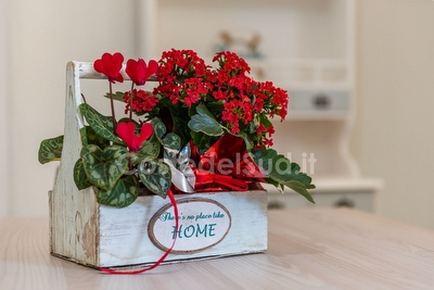 Bilocale Angolo di mare Torre San Giovanni - Foto 14