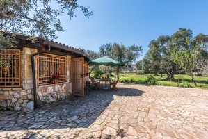 Pajara Trullo Tipico del Salento Torre Suda - Foto 2