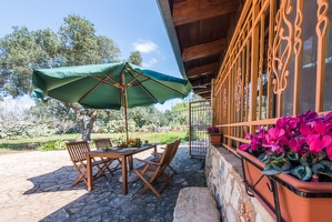 Pajara Trullo Tipico del Salento Torre Suda - Foto 5