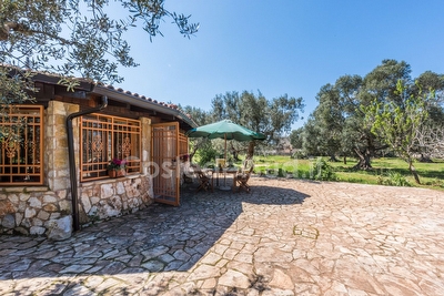 Pajara Trullo Tipico del Salento Torre Suda - Foto 2