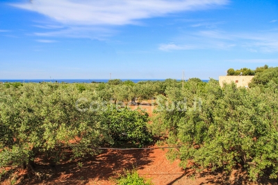 Pajara Trullo Tipico del Salento Torre Suda - Foto 24