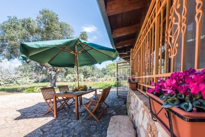 Pajara Trullo Tipico del Salento Torre Suda - Foto 5