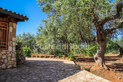 Pajara Trullo Tipico del Salento Torre Suda - Foto 7