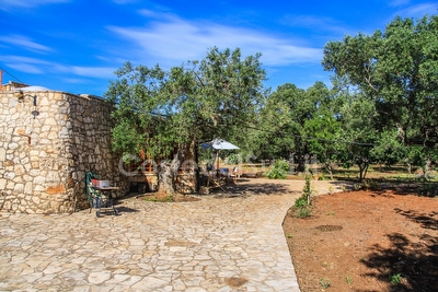 Pajara Trullo Tipico del Salento Torre Suda - Foto 8