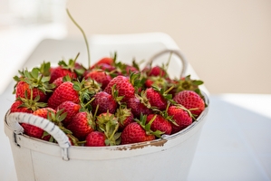 Casa vacanza fronte mare Posto Rosso - Foto 14