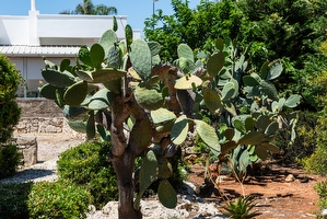 Grazioso alloggio per due con piscina (non esclusiva) Torre Suda - Foto 10