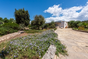Grazioso alloggio per due con piscina (non esclusiva) Torre Suda - Foto 9