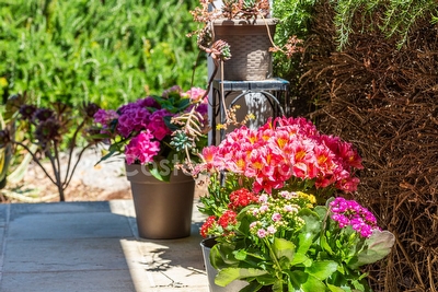 Grazioso alloggio per due con piscina (non esclusiva) Torre Suda - Foto 23