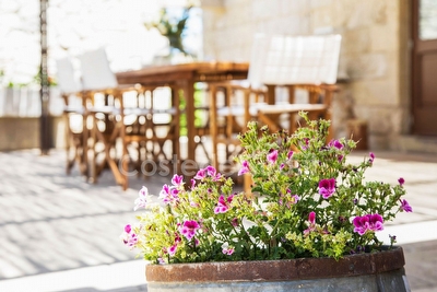 Prestigiosa Masseria con piscina esclusiva Martano - Foto 14