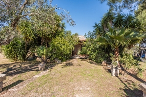 Tipico Trullo/Pagliara del Salento ristrutturato


 Torre Suda - Foto 5