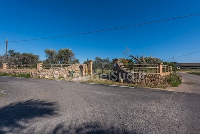 Tipico Trullo/Pagliara del Salento ristrutturato


 Torre Suda - Foto 2