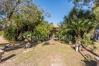 Tipico Trullo/Pagliara del Salento ristrutturato


 Torre Suda - Foto 5