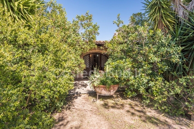 Tipico Trullo/Pagliara del Salento ristrutturato


 Torre Suda - Foto 6