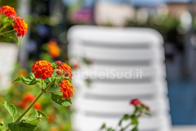 Villetta affacciata sul mare con ampio spazio esterno Capilungo - Foto 5