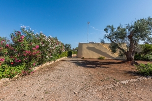 Pajara immersa nella campagna salentina Torre Vado - Foto 11
