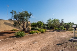 Pajara immersa nella campagna salentina Torre Vado - Foto 12