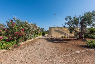 Pajara immersa nella campagna salentina Torre Vado - Foto 11