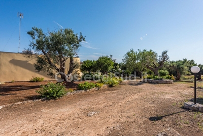 Pajara immersa nella campagna salentina Torre Vado - Foto 12