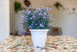 Casa vacanza semplice e comoda  Torre Suda - Foto 13