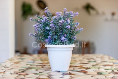 Casa vacanza semplice e comoda  Torre Suda - Foto 13