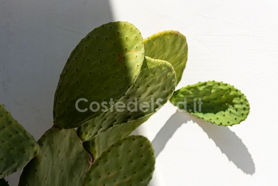 Casa vacanza semplice e comoda  Torre Suda - Foto 4