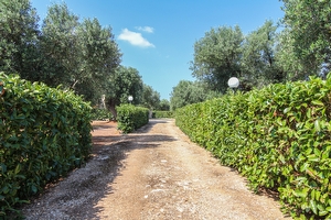 Villetta indipendente immersa nella campagna assoluto relax. Torre Vado - Foto 3