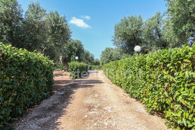 Villetta indipendente immersa nella campagna assoluto relax. Torre Vado - Foto 3